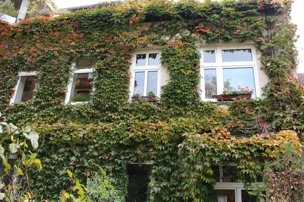 Hotel Wiener Kindl Kültér fotó